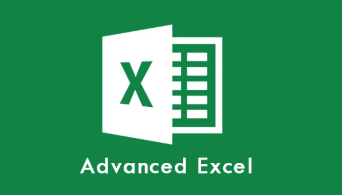 MS Excel Advanced