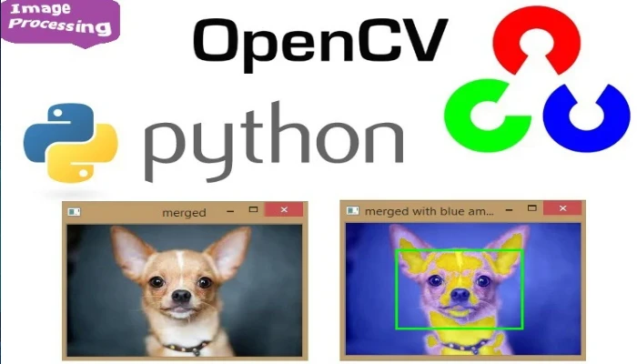 Python OpenCV